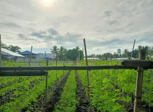 Lot for sale — Residential Lot in General Santos City, 9500 South Cotabato, Philippines — Photo 3