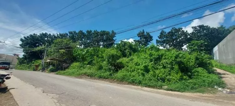 INDUSTRIAL LOT FOR SALE - TAYUD, CONSOLACION - photo 7
