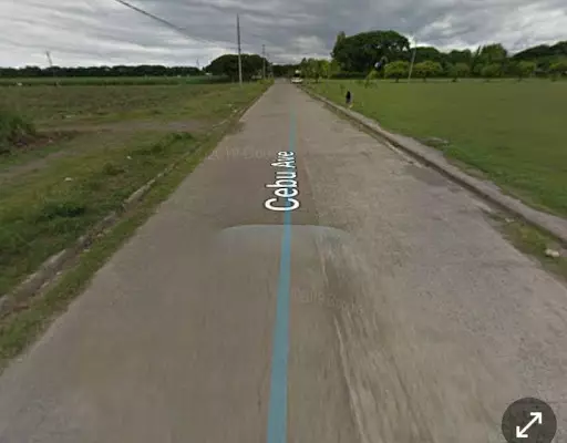 Prime lot within Sancarlos City, Negros Occidental - photo 2