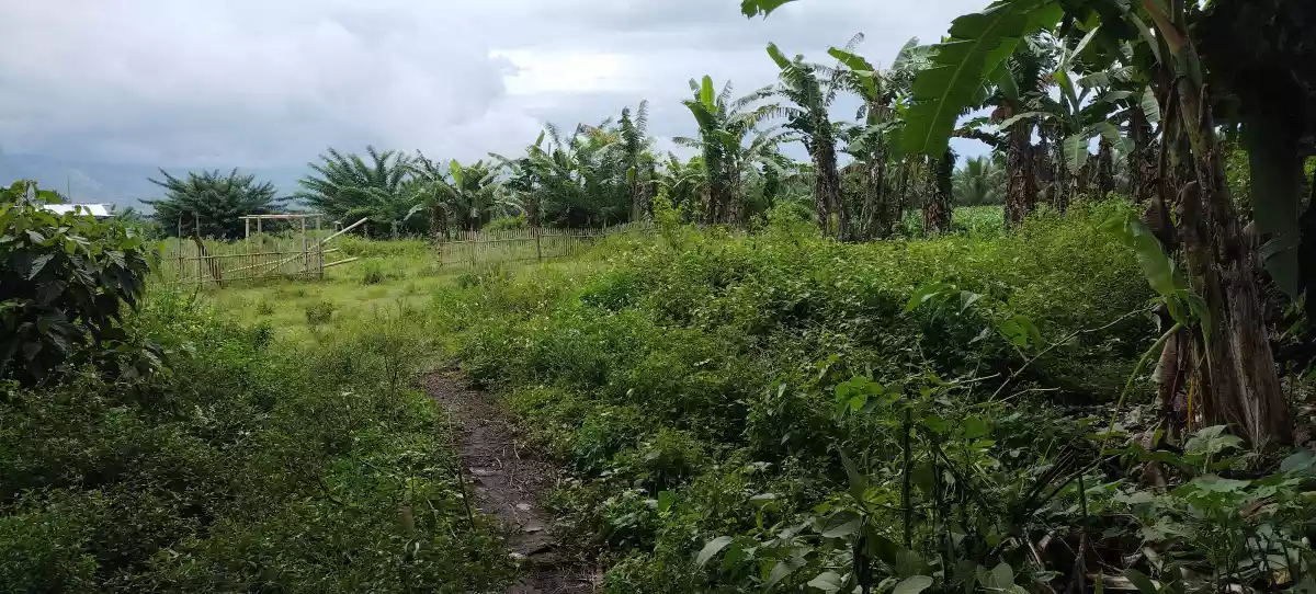 150meters away highway — Industrial Lot in Polomolok, South Cotabato, Philippines — Photo 3