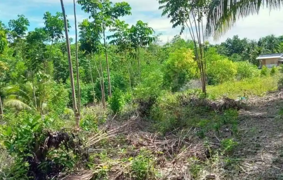 Lot for Sale in Biking Dauis, Bohol — Residential Lot in Dauis, Bohol, Philippines — Photo 3