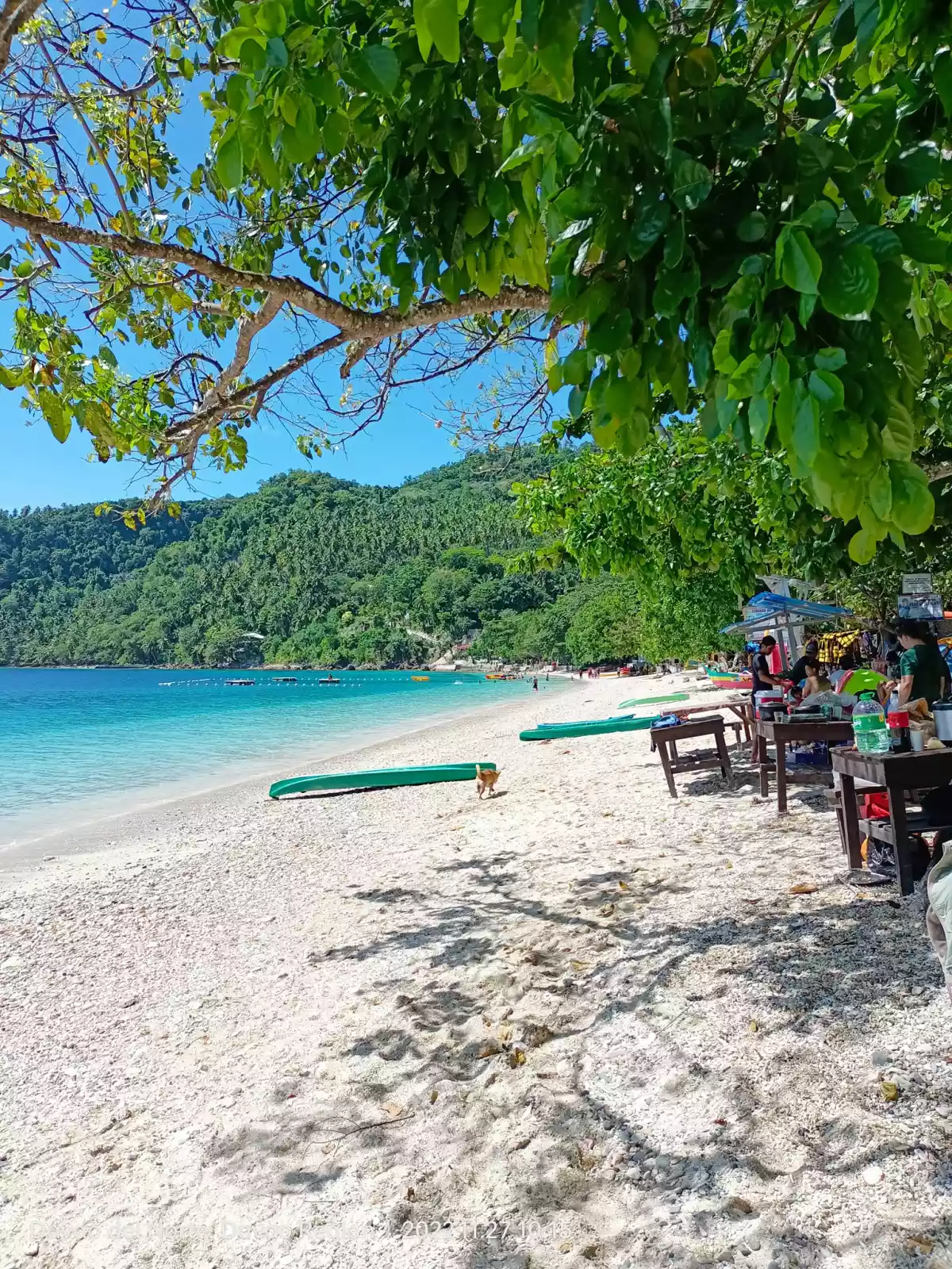 1 HECTARE BEACHLINE IN CANIBAD, SAMAL — Beach Lot in Samal, Island Garden City of Samal, Davao del Norte — Photo 6