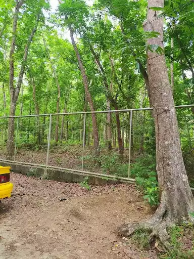 San Juan 89has Plantation — Agricultural Lot in Philippines — Photo 3