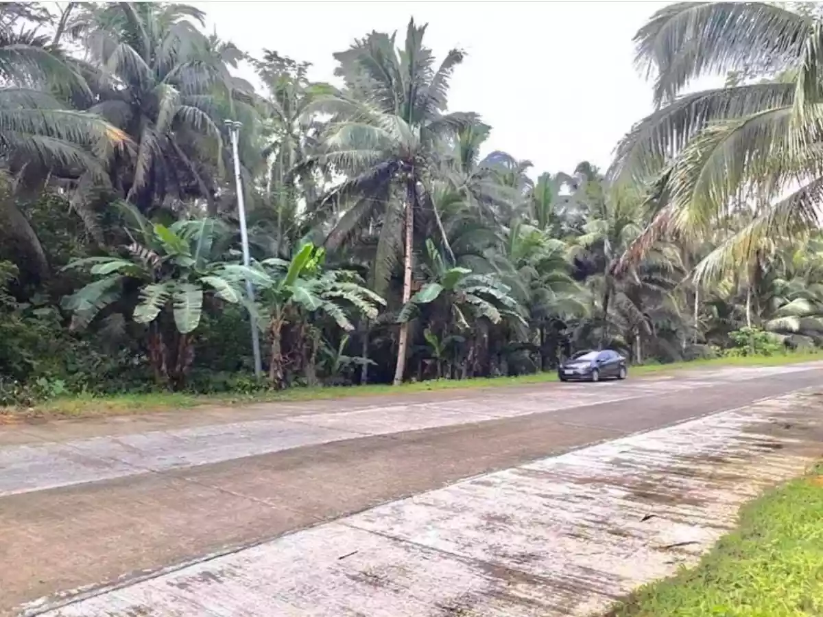 LOT FOR SALE @ SIARGAO ISLAND — Agricultural Lot in Philippines — Photo 4