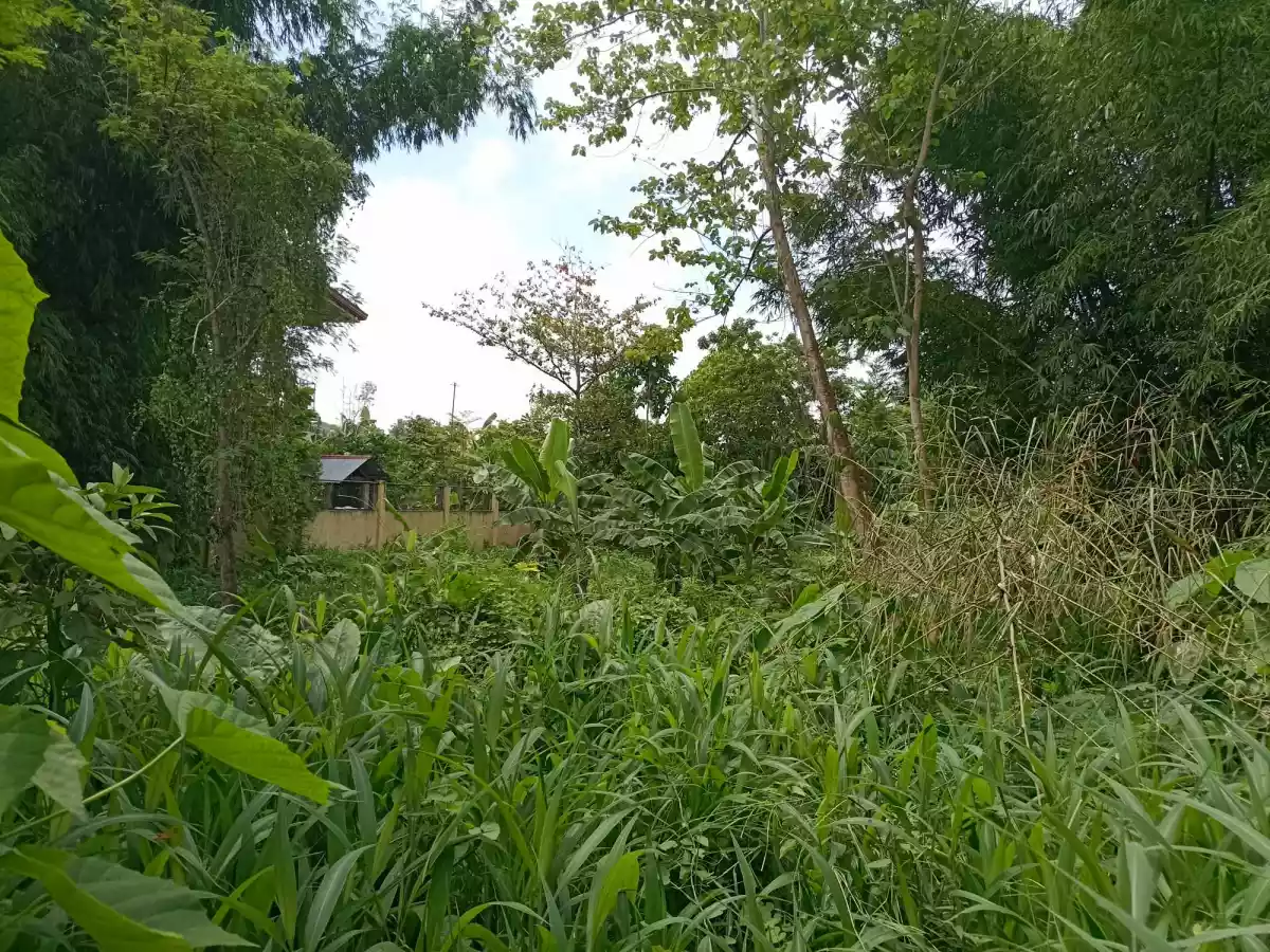 Lot for Sale Barangay Tiltilon, Cotcot Liloan Cebu 2343 sqm — Residential Lot in Cebu, Philippines — Photo 3
