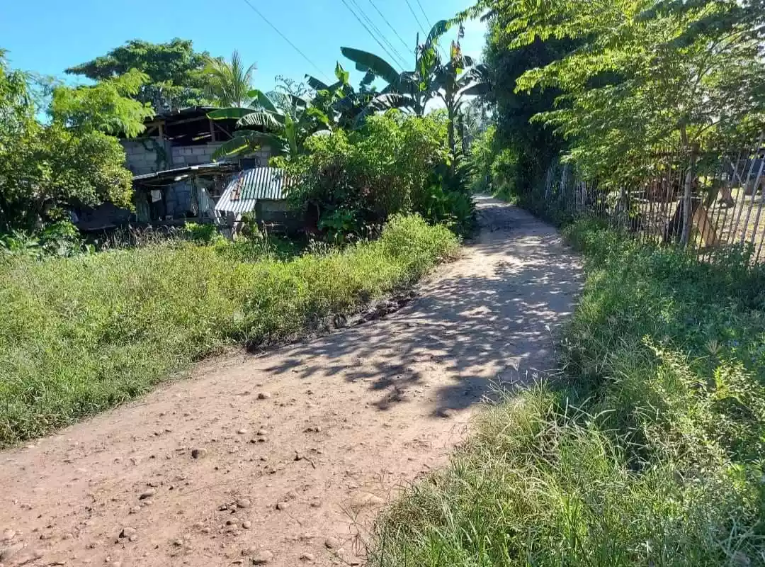 Lot for Sale in Sibulan — Agricultural Lot in Sibulan, Negros Oriental, Philippines — Photo 3