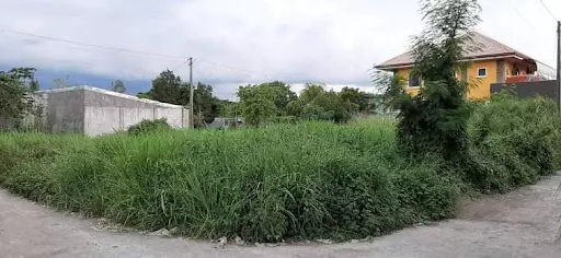 Corner and Inner Lot — Residential Lot in Ramon Magsaysay Street, Talisay City, Negros Occidental — Photo 2