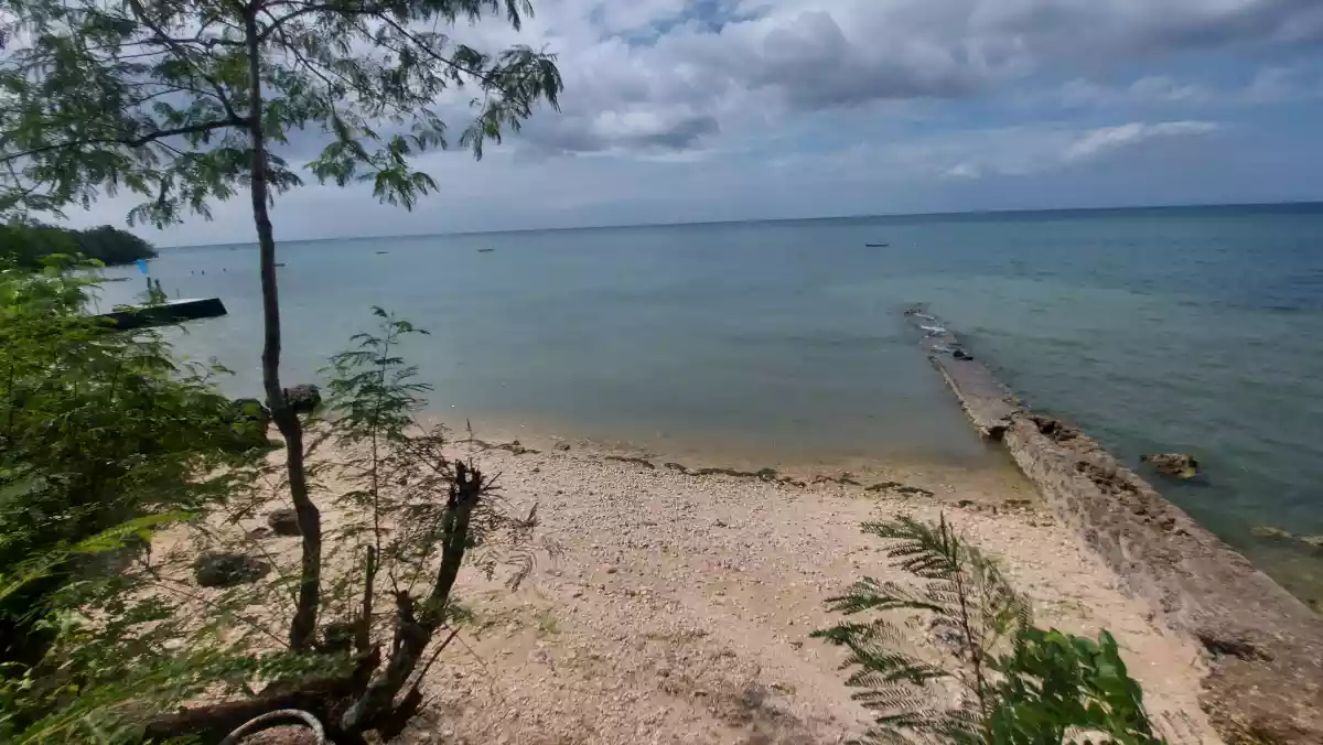 Beachlot for sale — Beach Lot in San Remigio, Cebu, Philippines — Photo 3