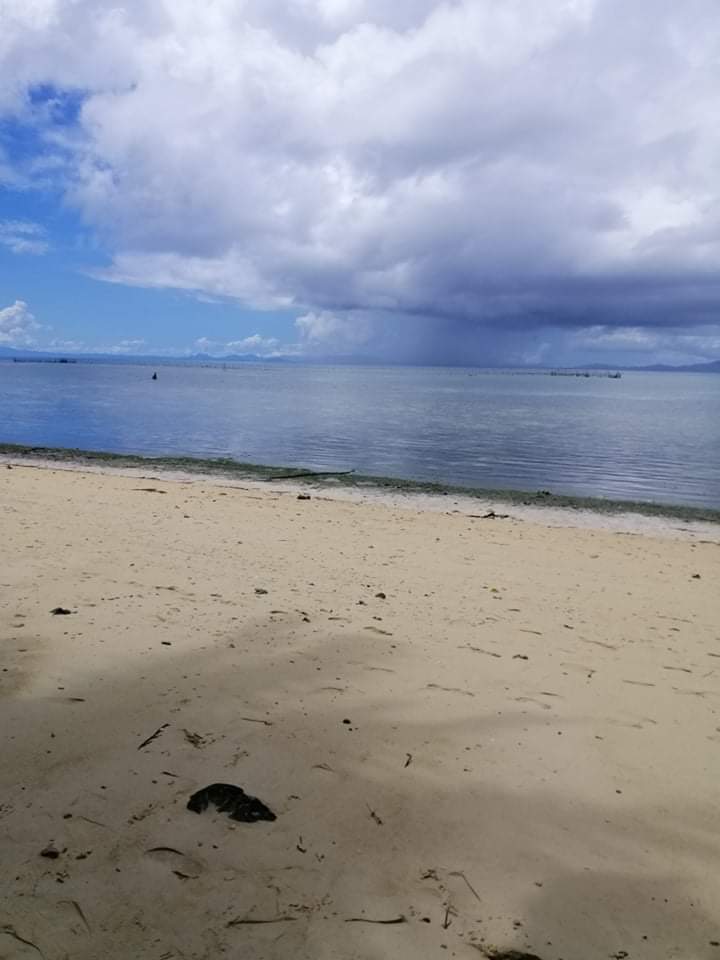 ISLAND FOR SALE IN SIARGAO ISLANDS - photo 3