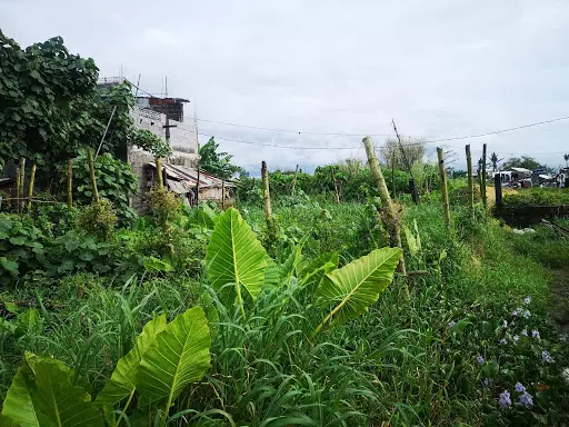 RUSH LOT FOR SALE — Residential Lot in Naga, Camarines Sur, Philippines — Photo 7