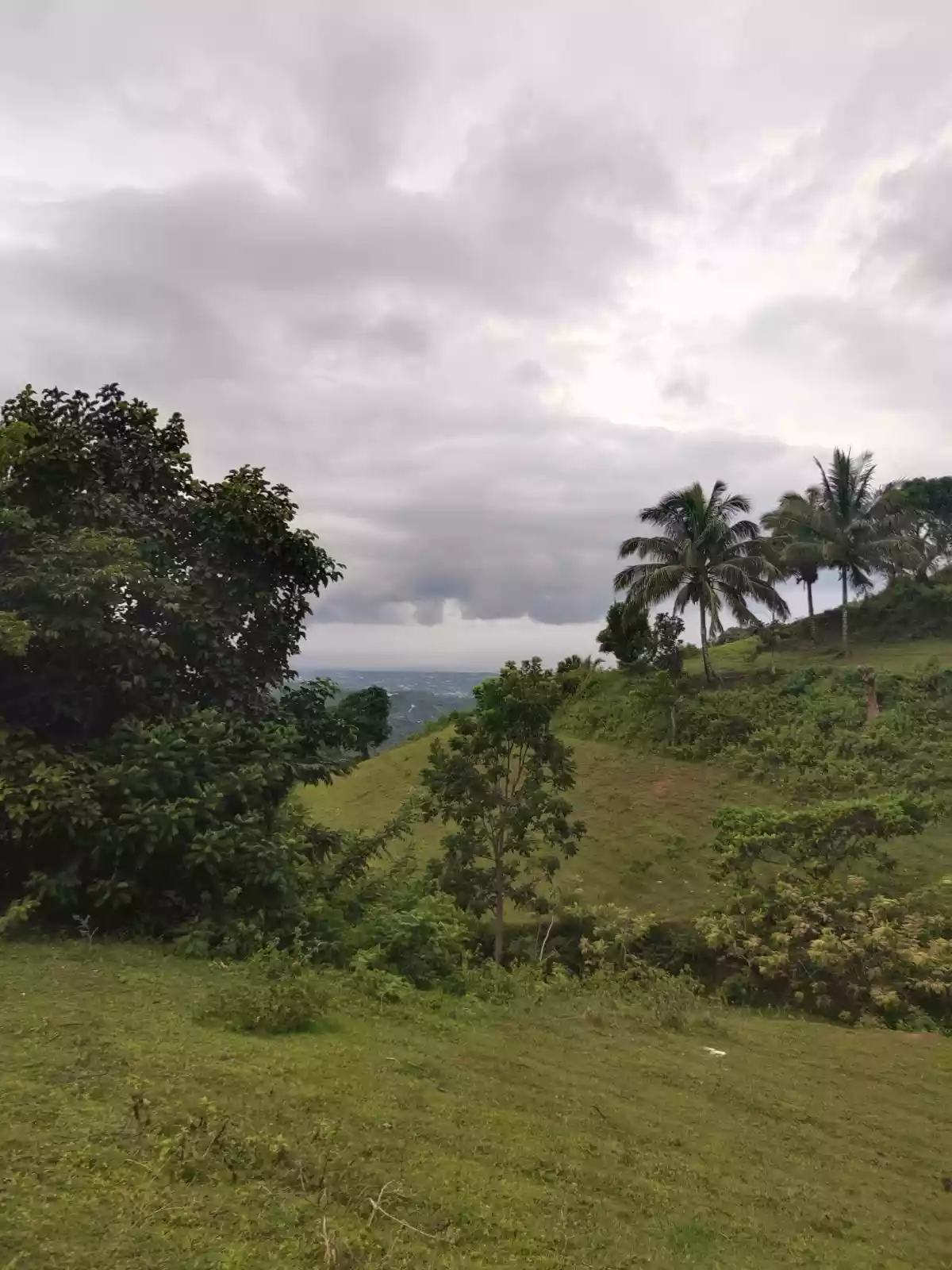 Titled lot - photo 2