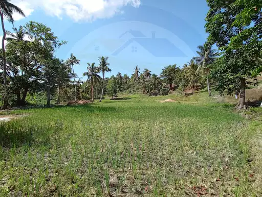 Open photo 18 of 106 — Secret Paradise of Tarangnan Samar