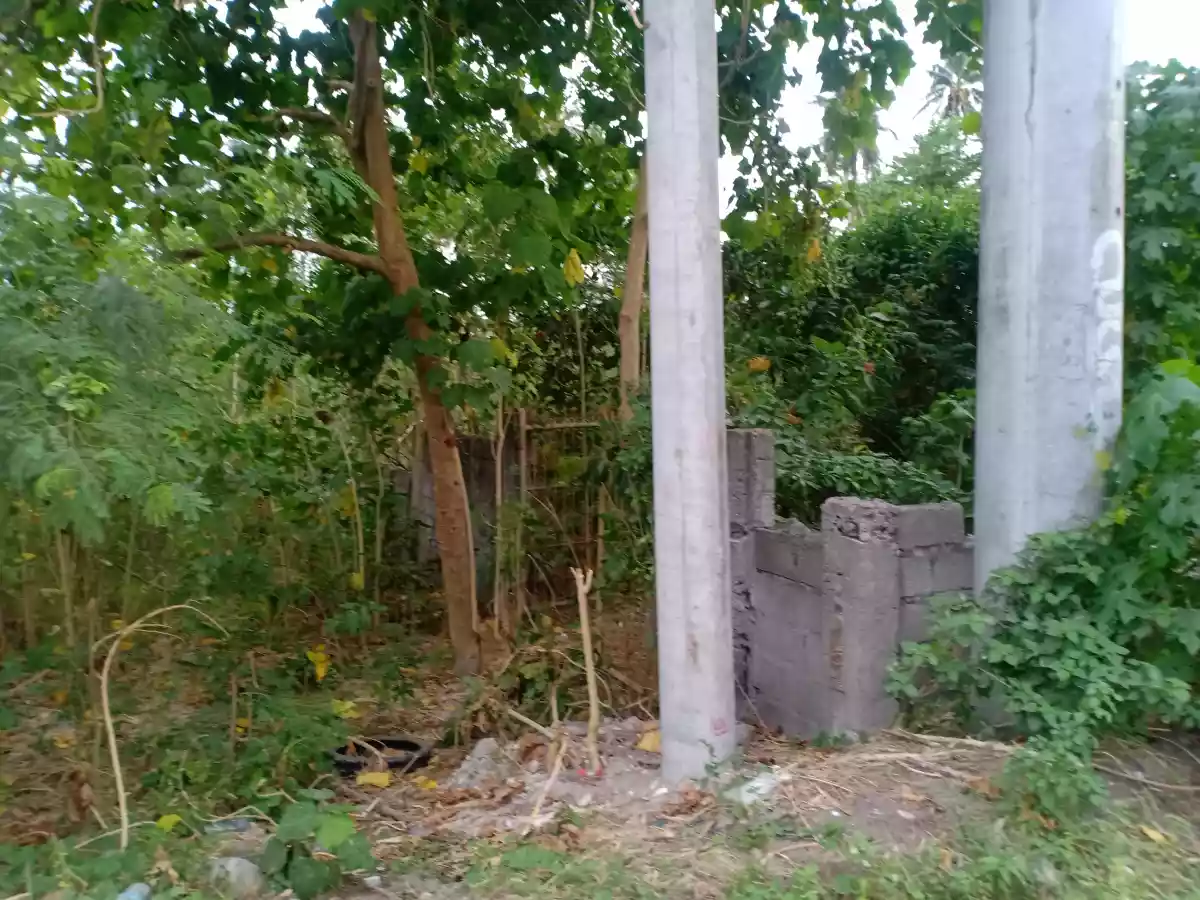 1,000 sqm Beach Lot (2nd lot from hway) — Beach Lot in General Santos City, South Cotabato, Philippines — Photo 5