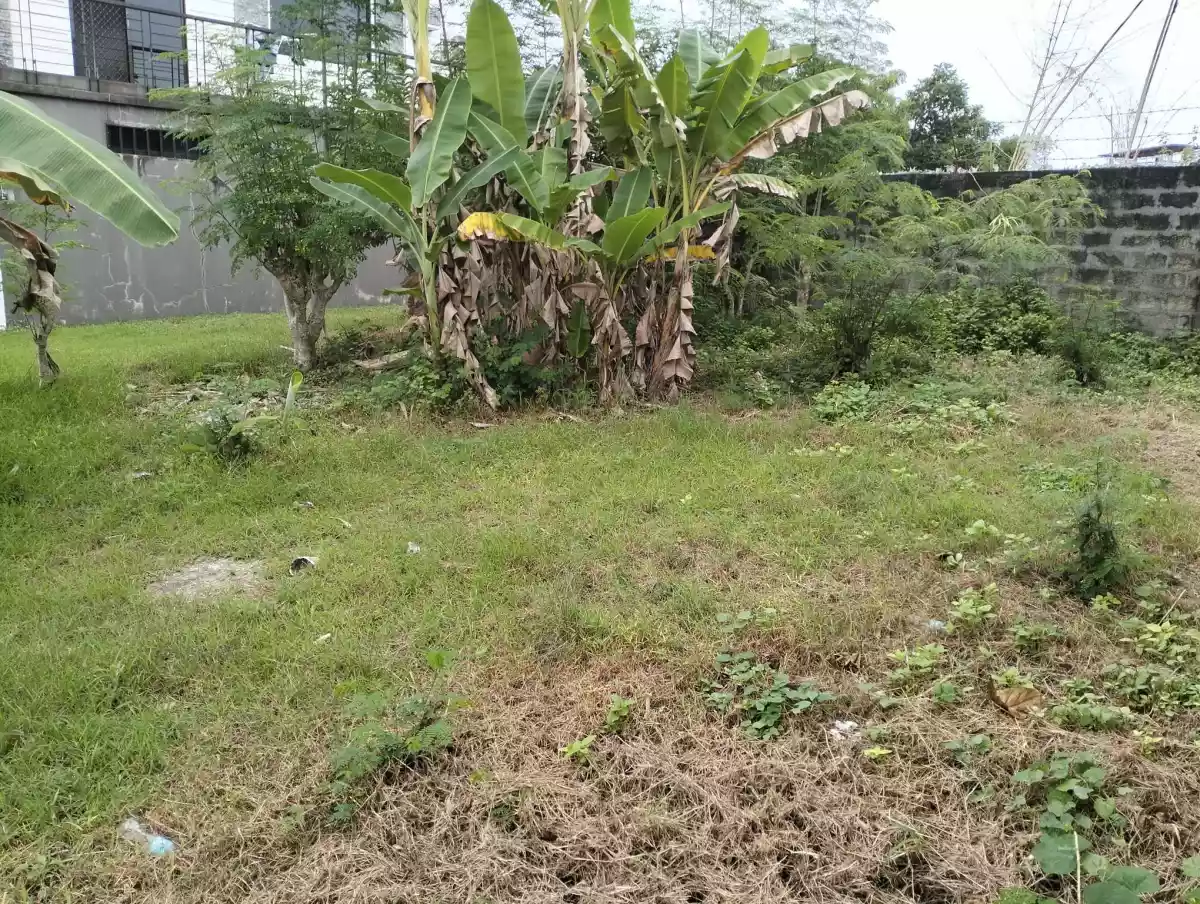 Residential lot for SALE IN PACIFIC GRAND - photo 3