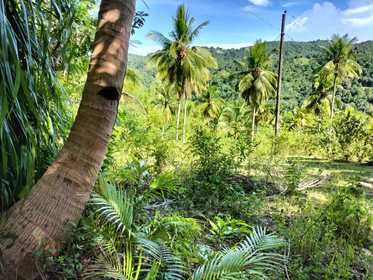 Open photo 11 of 11 — Affordable Lot