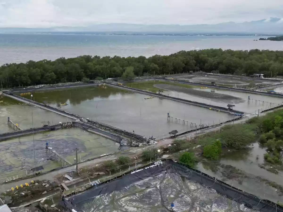 SHRIMP FARM FOR SALE — Agricultural Lot in General Santos City, South Cotabato, Philippines — Photo 4