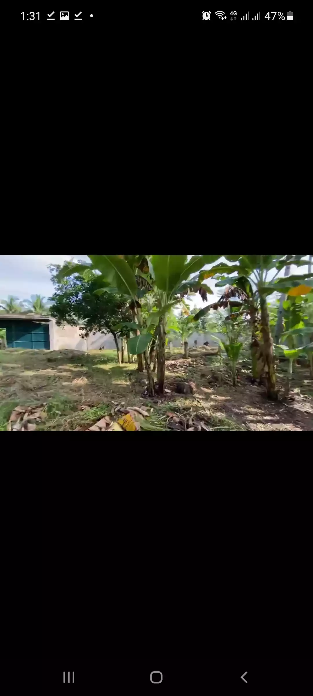 Lot for sale - photo 5