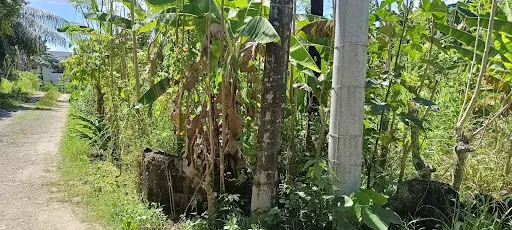 Lot for sale talamban — Residential Lot in Cebu City, Cebu, Philippines — Photo 4