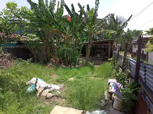 Residential Lot in Dawis, Talisay for Sale — Residential Lot in Dawis Road, Talisay, Cebu — Photo 6