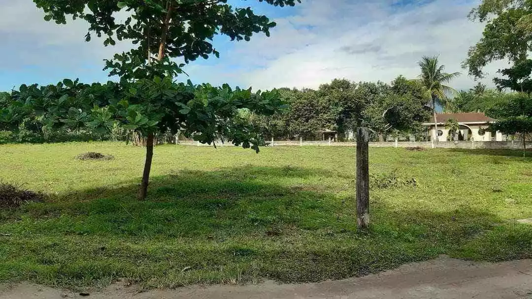Bacagay, Dumaguete City — Agricultural Lot in Dumaguete, Negros Oriental, Philippines — Photo 2