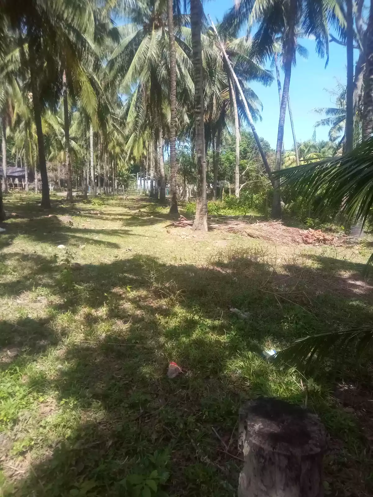 Maayong tubig dauin near the beach lot - photo 6