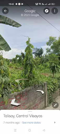 Lot for sale — Residential Lot in Minglanilla, Cebu, Philippines — Photo 2