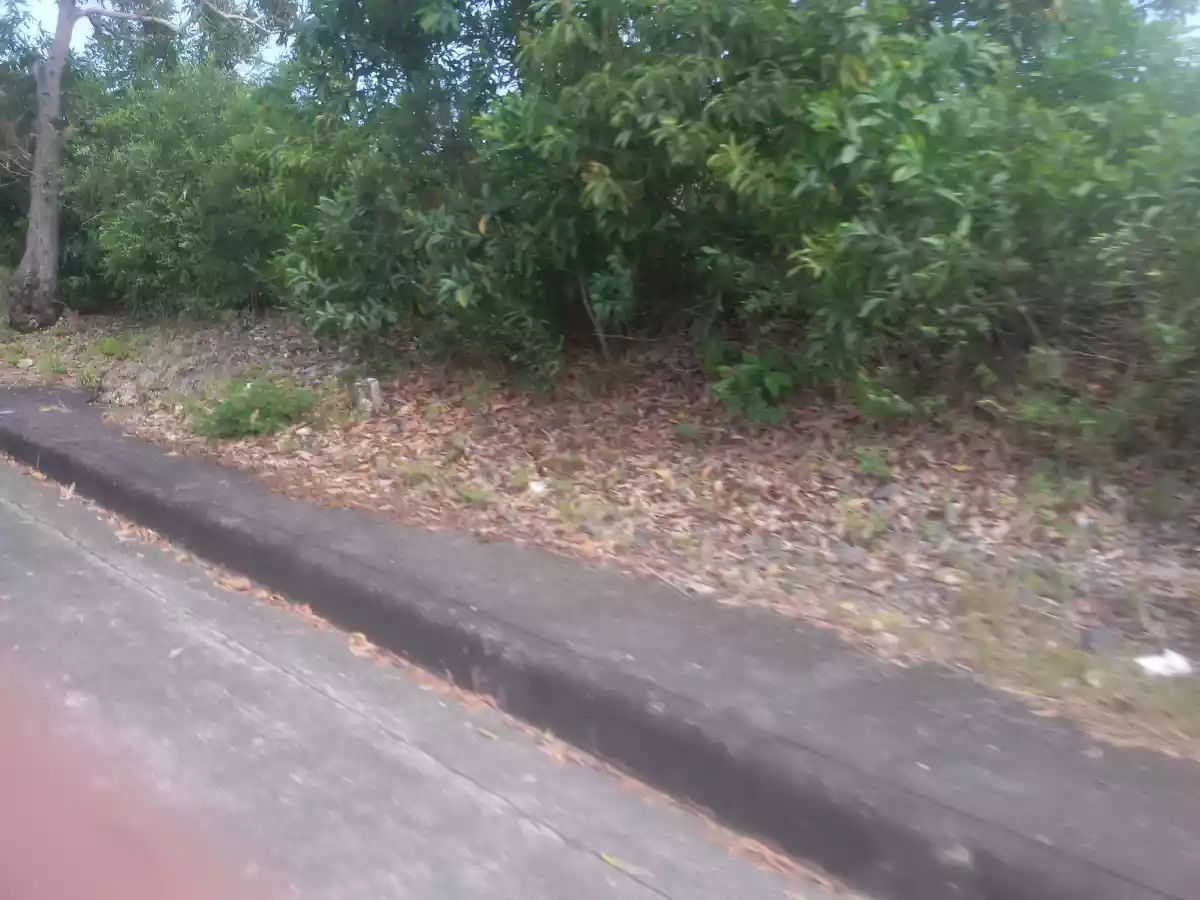 AltaVista private lot - photo 3