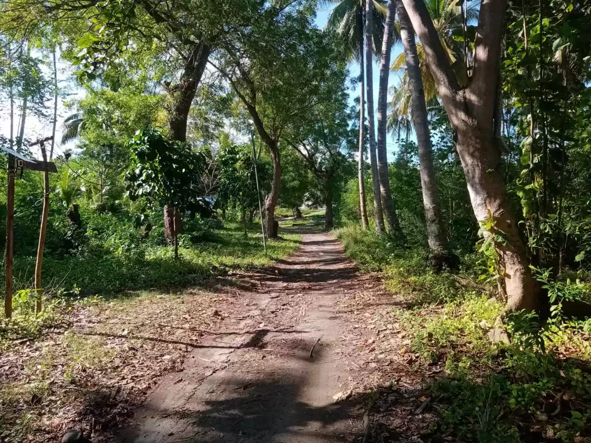 2,925sqm Along Highway Gensan Lot For Sale! — Commercial Lot in General Santos City, South Cotabato, Philippines — Photo 4