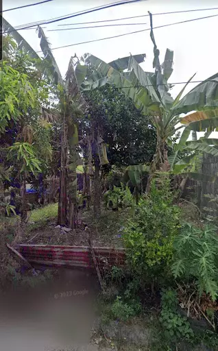 Rush for Sale Lot only at Villa Estefania Fortune Town Bacolod City — Residential Lot in Cebu City, 6000 Cebu, Philippines — Photo 6