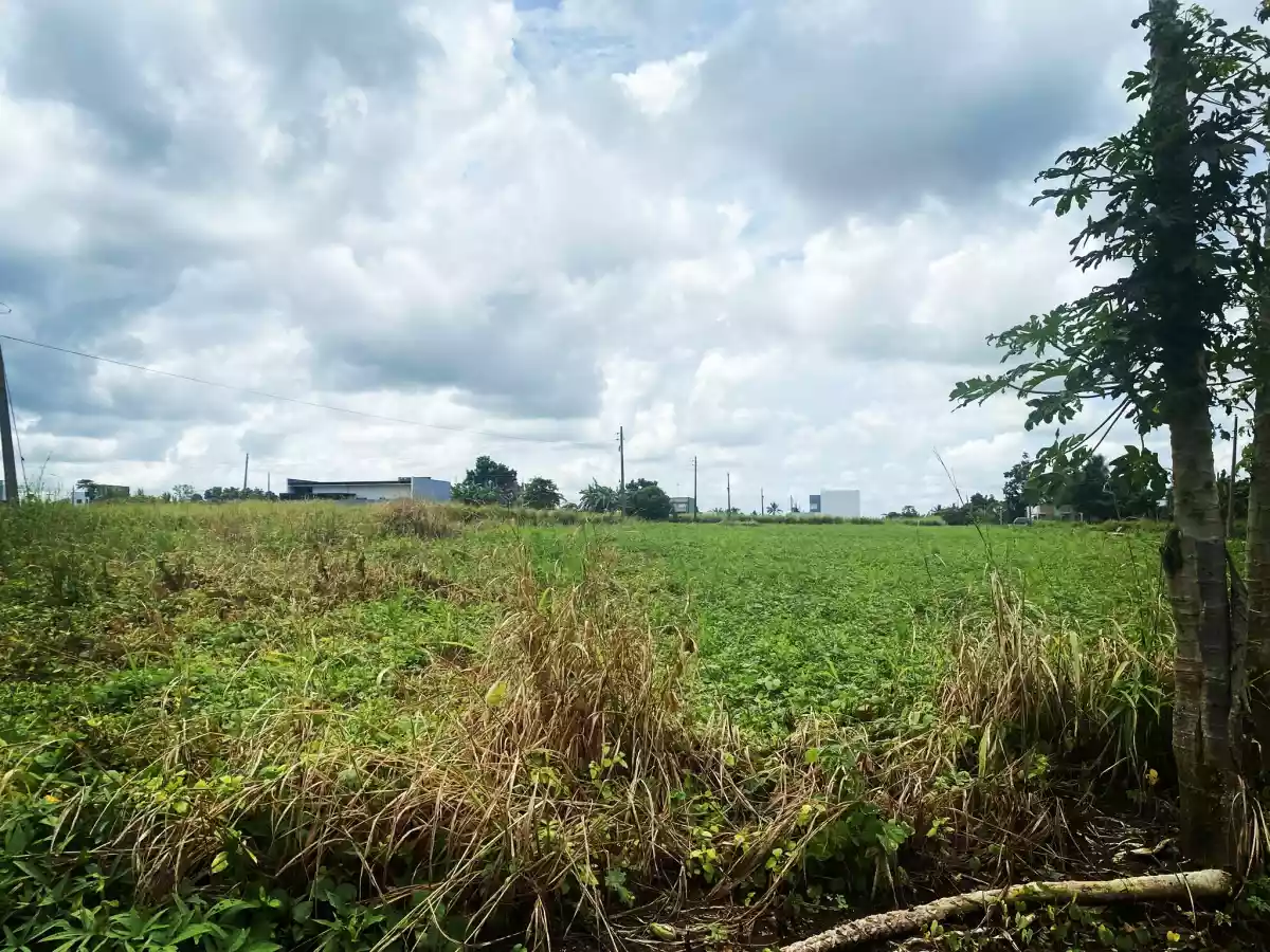 Residential Lot For Sale!