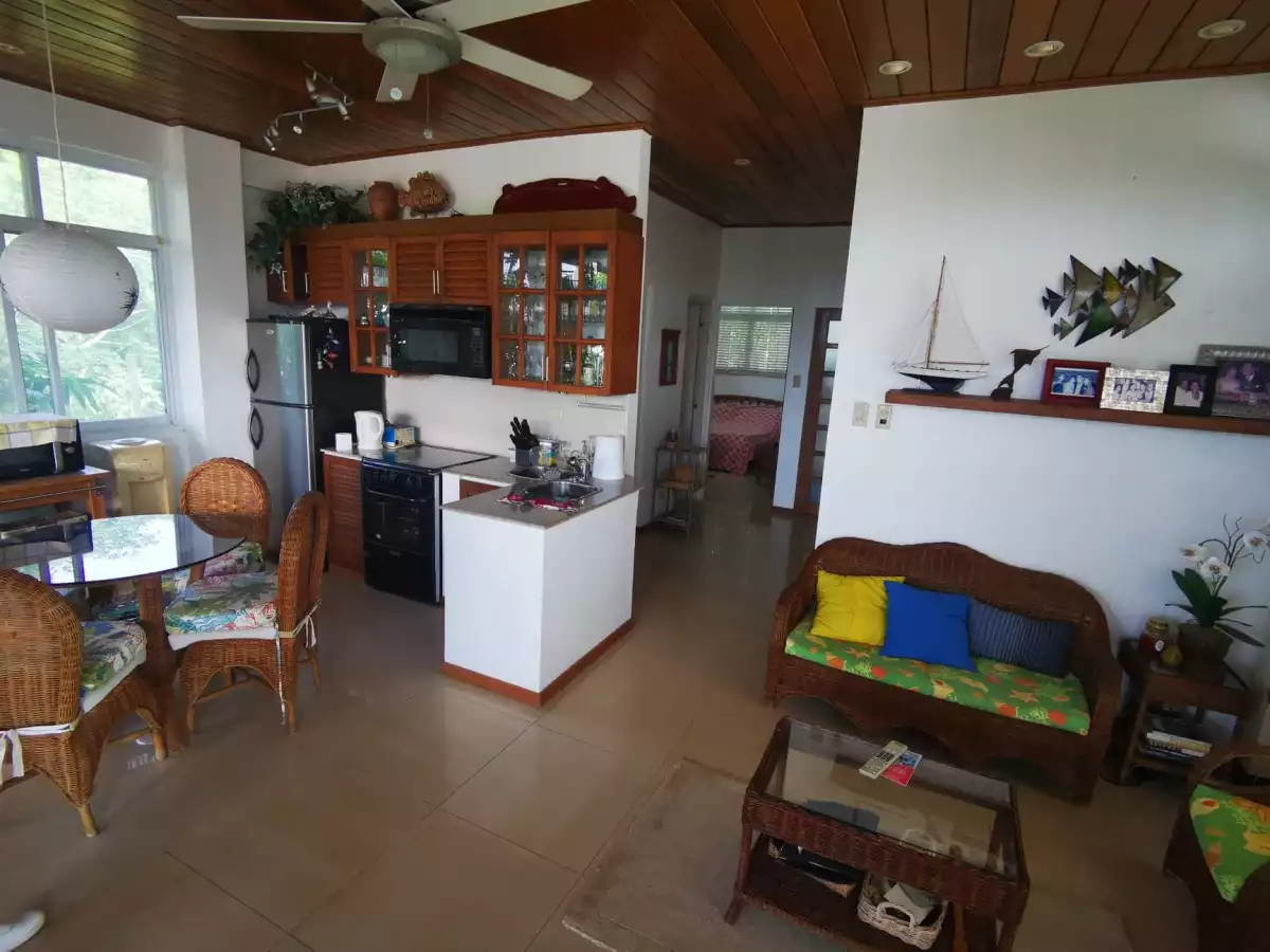 300 sqm House & Lot in Boracay - photo 5