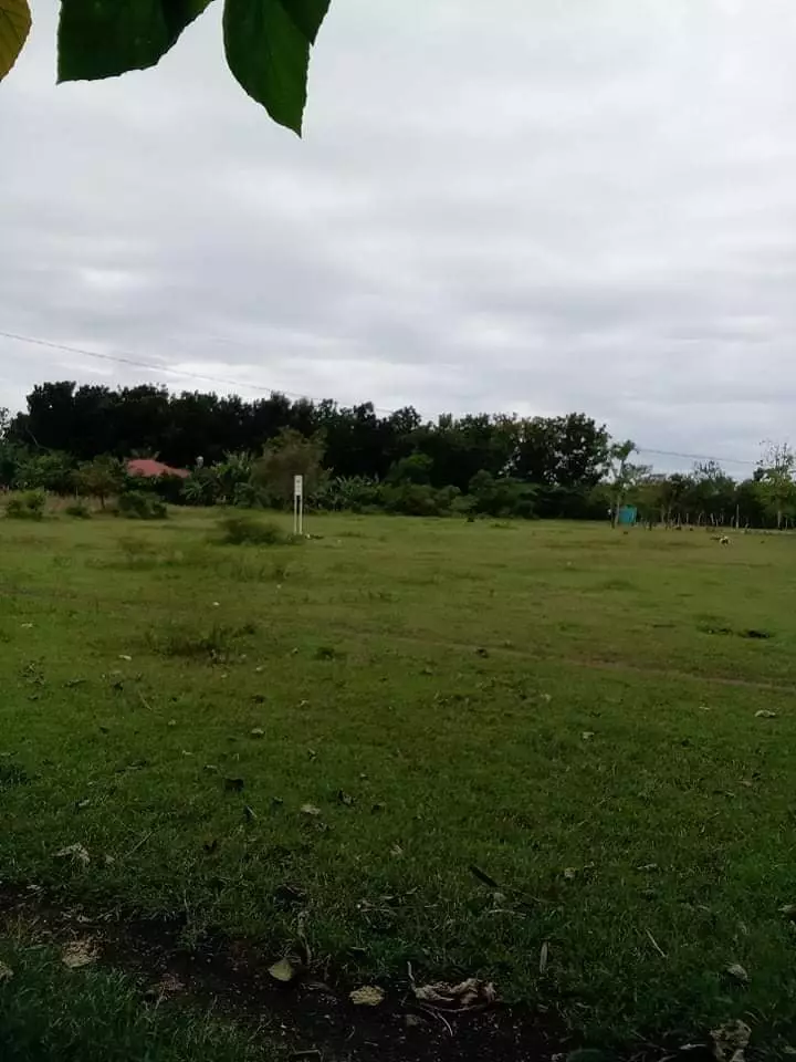 Commercial lot - photo 4