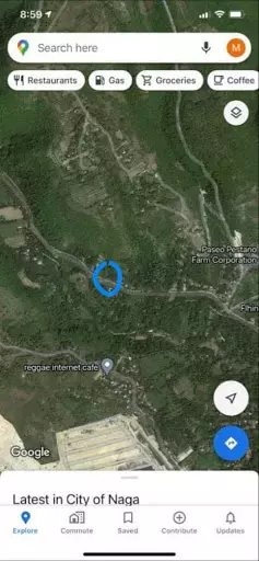 Lot for rent in langtad naga — Residential Lot in Cebu, Philippines — Photo 3