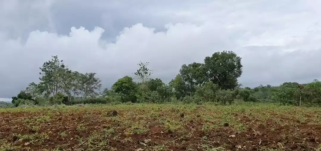 Amazing view! 16 Hectares Land for Sale - photo 5