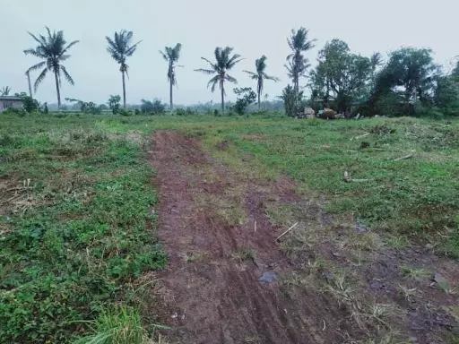 Open photo 11 of 36 — Rush!!Commercial Lot For Sale