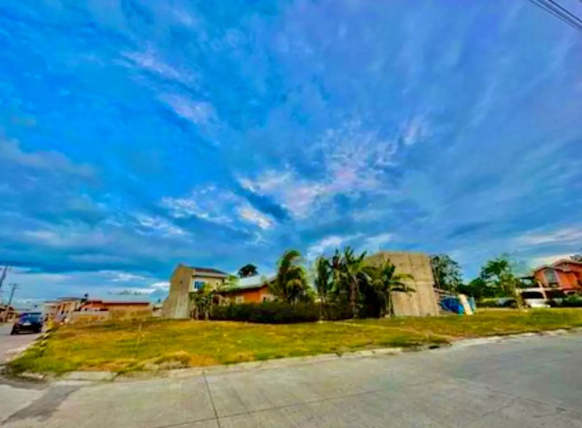 Corner Subdivision Lot for Sale in Cordova — Residential Lot in Barangay Alegria Road, Cordova, Cebu — Photo 4