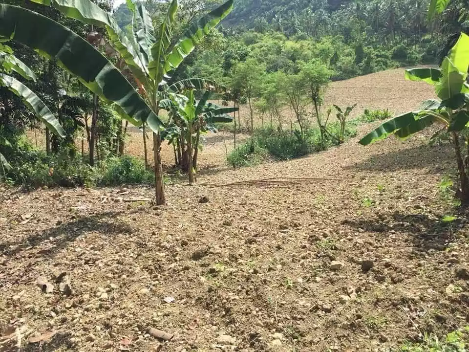 Titled Farm lot for sale in Balungag San Fernando Cebu