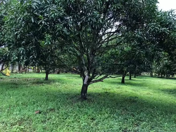 LOT FOR LEASE! - photo 3