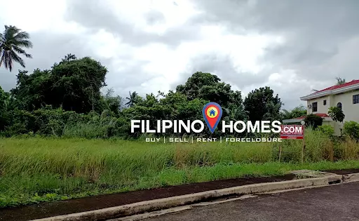 Residential Lot — Residential Lot in Naga, Camarines Sur, Philippines — Photo 3
