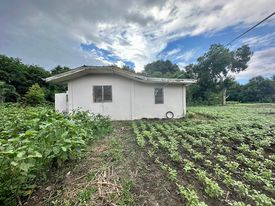 1 HECTARE MANGO FARM — Agricultural Lot — Photo 4