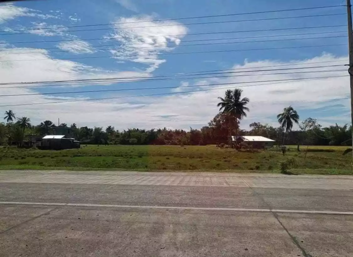 11,195 sqm along National rd. Calagda-an,Cantilan Surigao del sur - photo 4