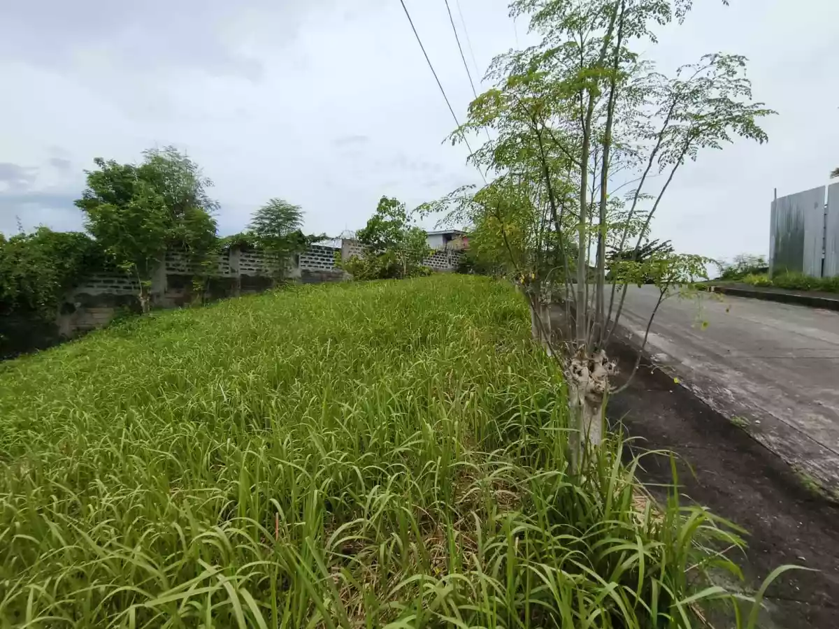 Residential Corner Lot in Royale Cebu Estate — Residential Lot in Consolacion, Cebu, Philippines — Photo 5