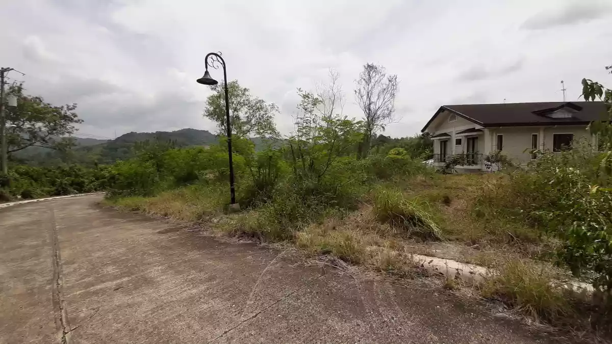 Overlooking Corner Lot For Sale in Riverdale Talamban Cebu - photo 4