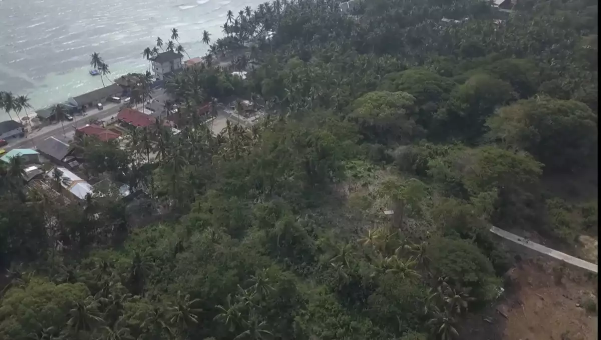 Lot Near The Beach in San Juan, Siquijor - photo 4