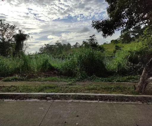 137-2011001391