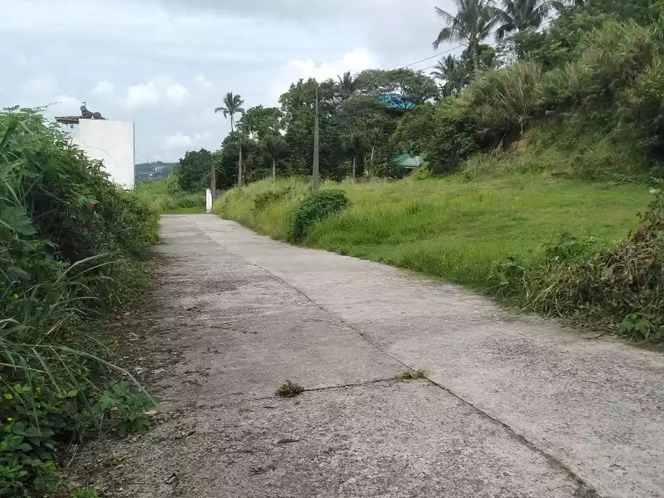 RUSH SALE 2 HECTARE LAND IN LEMERY BATANGAS OVERLOOKING TAAL LAKE! — Agricultural Lot in Diokno Highway, Lemery, Batangas — Photo 6