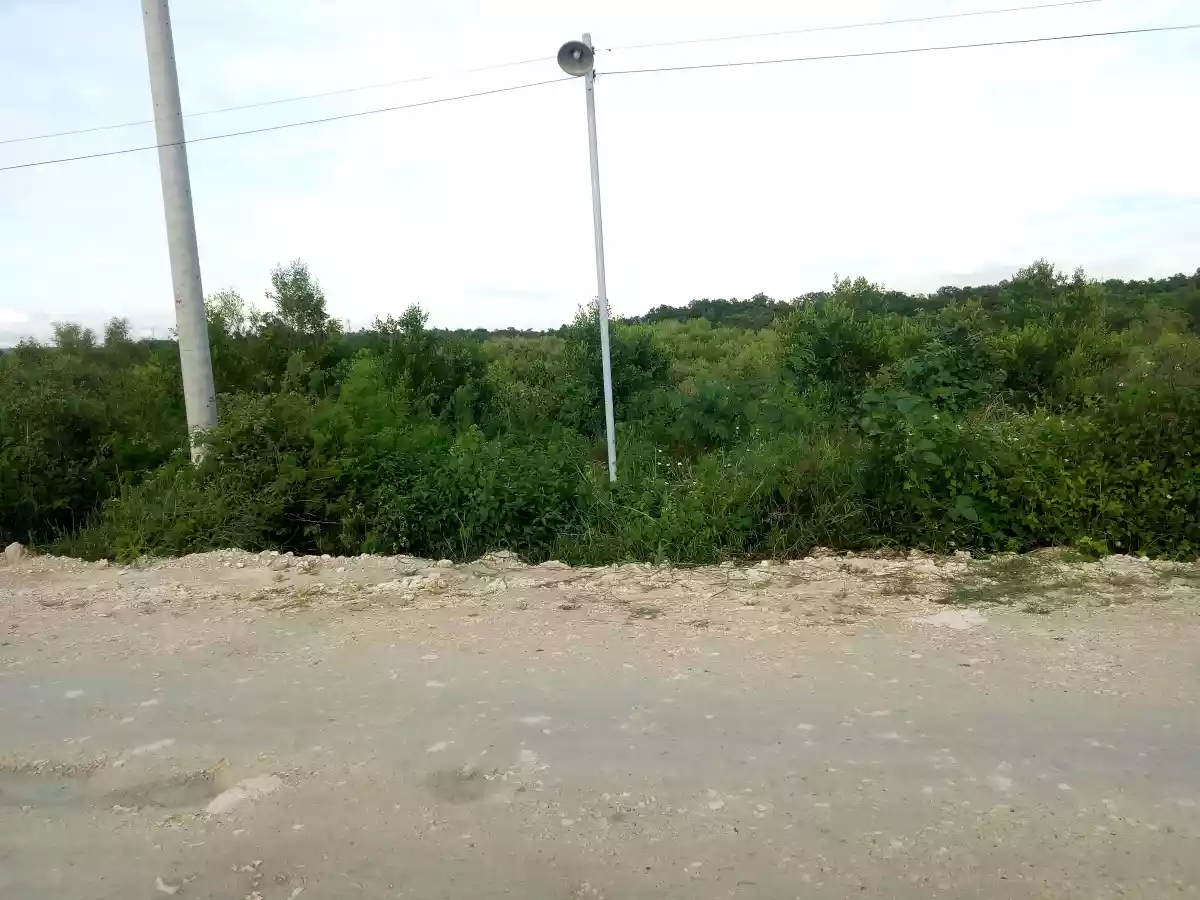 Lot for Sale in Carcar City