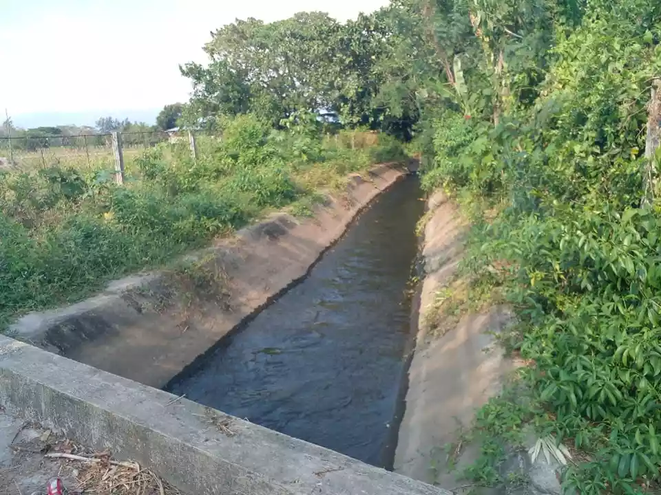 Zambales Developed 6.8 has fenced farm - exp to 10has — Agricultural Lot in Zambales, Philippines — Photo 6