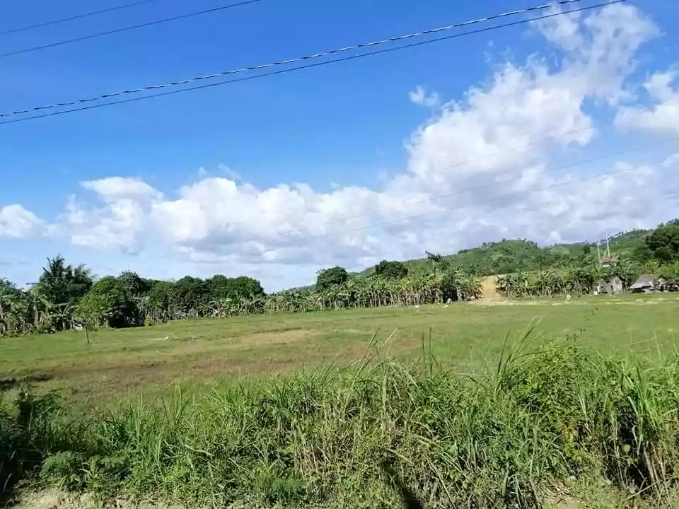 Rush Sale lot in Toledo City — Agricultural Lot in Toledo City, Cebu, Philippines — Photo 3