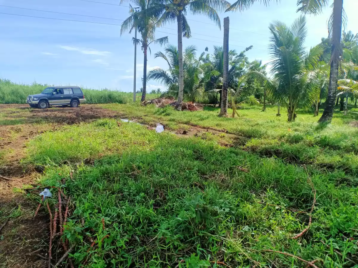 LOT FOR SALE — Agricultural Lot in Cabulihan, Ormoc, Leyte — Photo 4